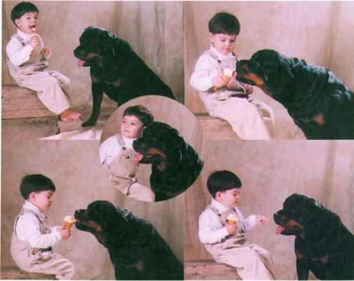 BreckGavCollage.jpg (88847 bytes)