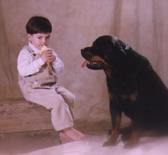 BreckGavin3.jpg (56441 bytes)