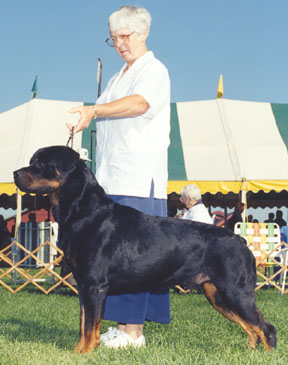 BuzzGlenn2.jpg (67756 bytes)