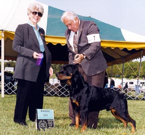 BuzzWD_Steen.jpg (69334 bytes)
