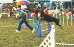 DinkyJump.jpg (48245 bytes)
