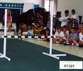 DizzyJump.jpg (64563 bytes)