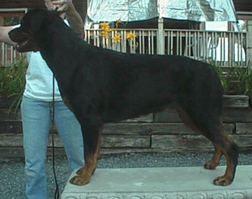 Fanni16mo.gif (72559 bytes)