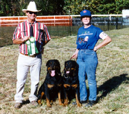 Herding.jpg (74571 bytes)