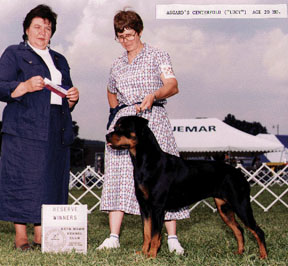 LucyRWB.jpg (72771 bytes)